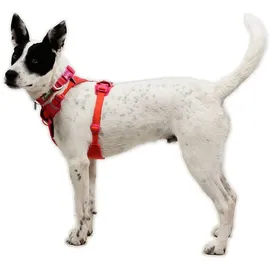 Ruffwear Front Range Flex Hundegeschirr Rose Violet 2XS