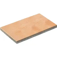 Diephaus Terrassenplatte Ancona Lachs 60 x 40 x 4 cm