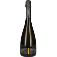 Paladin Prosecco Millesimato Extra Dry DOC 11 % vol 0,75 l