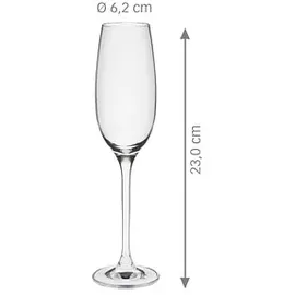 Rona Sektglas 0,15 l 6 St.
