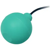 Pepperl+Fuchs 288564 Schwimmschalter LFL2-BK-U-PUR10-EMS