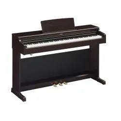 Arius YDP165R Palisander