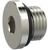 Riegler Verschlussschraube, Innensechskant 17 mm, G 3/4, NBR O-Ring,