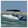 vidaXL Sonnenschutz 2-Bow Bimini Top 180x130x110 cm Schwarz