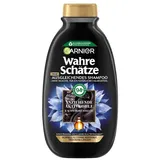 Garnier Wahre Schätze Ausgleichendes Aktivkohle Shampoo 300 ml