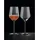 Nachtmann Aperitivo Weißweinglas 0,49 l 2er Set