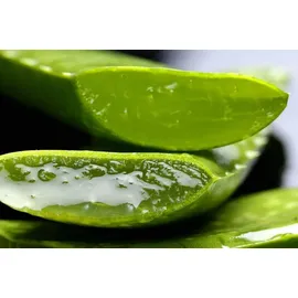 Tabaibaloe Tabaiba Aloe Vera Hydragel Gel 300 ml