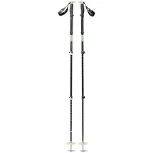 Black Diamond Expedition 3 Ski Poles - Green, 62-140cm