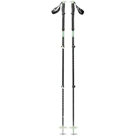 Black Diamond Expedition 3 Ski Poles - Green, 62-140cm