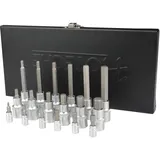 Hoteche Steckschlüsselsatz 1/4"&1/2" DR.Hex Bit Socket Set, Schraubendreher-Bits-Set, Satz mit 18 Stück Innensechskantschlüssel, Knarrenkasten, Chrom-Vanadium-Stahl