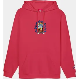Santa Cruz Grabke All Around Front Hood Hoodie Herren Grau S