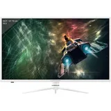 LC-POWER LC-M39-QHD-165-C 39"
