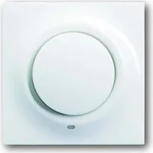 Busch-Jaeger Busch-Jaeger, Kontr-Zentralscheibe