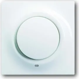 Busch-Jaeger Busch-Jaeger, Kontr-Zentralscheibe