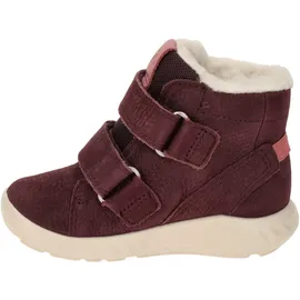 ECCO Stiefel Rot 20