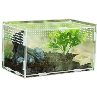 Keloc Reptilien-Terrarium | Kletternde Zuchtbox für Haustiere,Acryl-Futterbox Pet Climbing Terrarium Reptile Breeding Case Tarantula Scorpion Sling Isopods Eidechsen