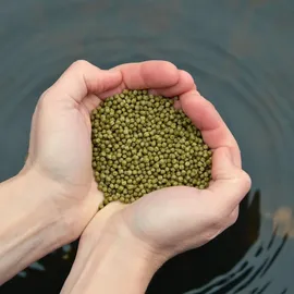 Lyra Pond Pond Koi Beauty Pellets 10 Liter (3,68 kg)