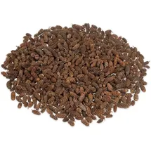 NaDeco Erlen-Zapfen ca. 250 g braun