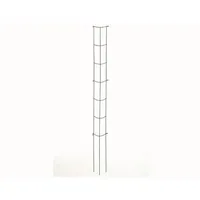 Siena Garden Gemüse-Rankturm 110 x 0 cm Grün