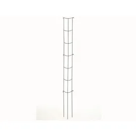 Siena Garden Gemüse-Rankturm 110 x 0 cm Grün