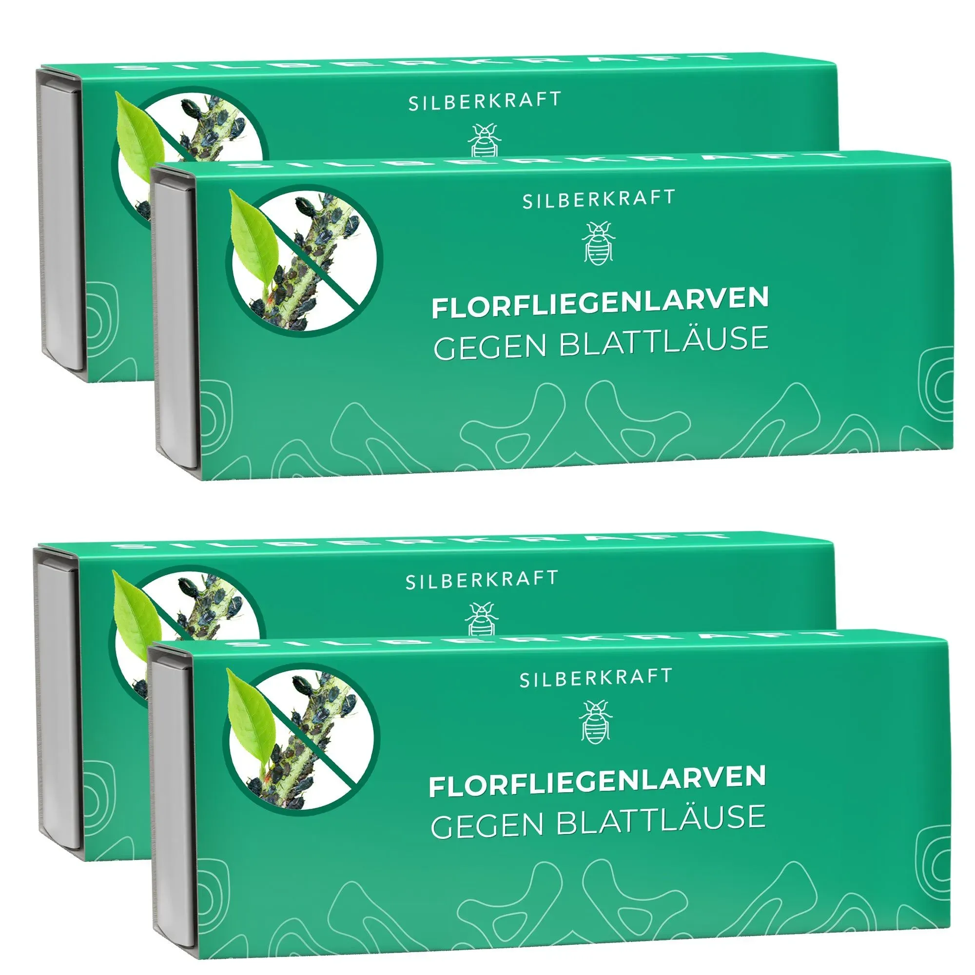 Silberkraft Florfliegenlarven 4 St