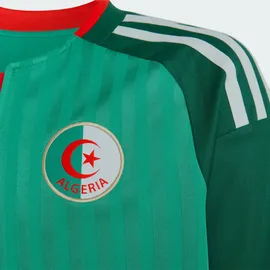 adidas Algerien Auswärtstrikot 2026 Kinder Gr. 152