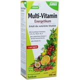 SALUS Multi-Vitamin-Energetikum Tonikum 250 ml