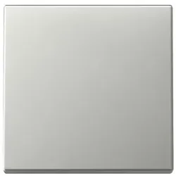 1St. Gira 3296600 Wippe System 55 edelstahl (lackiert)
