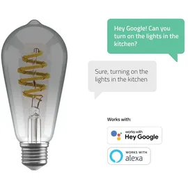 Hombli Filament Bulb CCT E27, 5.50 W, 180 lm, 1 x, G)