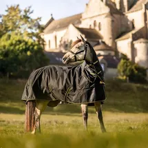 Bucas Irish Turnout Light - Neck Set in Black/Gold Größe:115