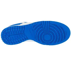 Nike Dunk Low Herren Blau/Grau/Weiß 45