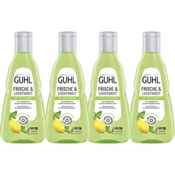 GUHL Shampoo Frische&Leichtigkeit Anti Fett 4er-Pack
