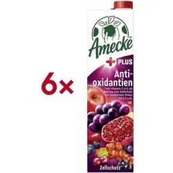 OTTO Office 6er-Pack Fruchtsaft »+ Antioxidantien rot« 1 Liter rot