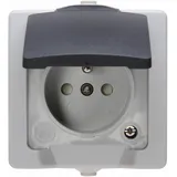 Heinrich Kopp Klappdeckelsteckdose Aufputz Grau 1 St.