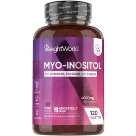 WeightWorld Inositol Tabletten 4000 mg 120 St.