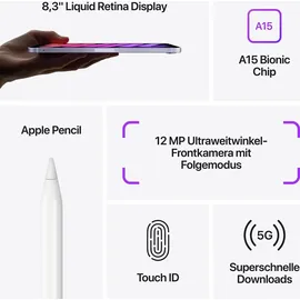 Apple iPad mini (6. Generation 2021) 256 GB Wi-Fi + Cellular rosé