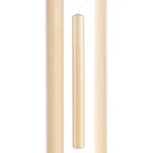 Kopschitz Kerzen Stabkerzen Champagner 25 x 3 cm beige 12 St.