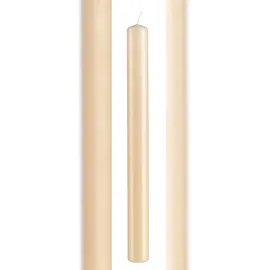 Kopschitz Kerzen Stabkerzen Champagner 25 x 3 cm beige 12 St.