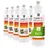 Höfer Chemie Bioethanol 96,6% Premium 1 l 6 St.