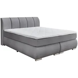 'massivart' Boxspringbett 180 x 200 cm H2 Grau