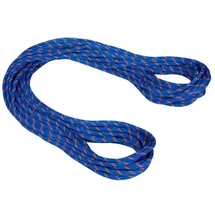 Mammut Alpine Sender Dry 9.0 Mm Rope Blau 60 m