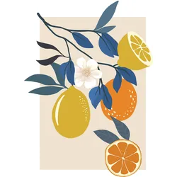 Bild KOMAR "Illustration Finest Fruits", bunt (farbe bild(er): bunt), B:50cm H:70cm, Papier, Holz, Bilder, Wandbild zur Dekoration - ohne Rahmen