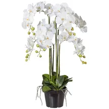 Gasper Kunstorchidee Kunstblume PHALENOPSIS Orchidee ca 90cm WEISS. im Kunststofftopf 20cm., Gasper weiß