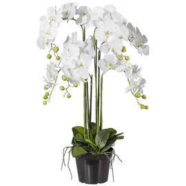 Gasper Kunstorchidee Kunstblume PHALENOPSIS Orchidee ca 90cm WEISS. im Kunststofftopf 20cm., Gasper weiß
