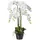 Gasper Kunstorchidee Kunstblume PHALENOPSIS Orchidee ca 90cm WEISS. im Kunststofftopf 20cm., Gasper weiß