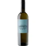 Sacchetto Pinot Grigio L‘ Elfo DOC 2024 0,75 l