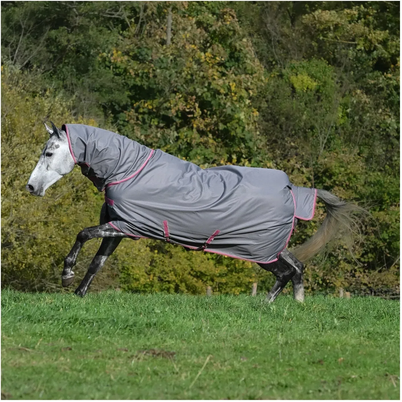 bucas Outdoordecke Freedom Turnout Full Neck Light smoke grey 155 cm