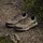 adidas Terrex Anylander Hiking Shoes, Cardboard/Blanch Cargo/Shadow Olive, 40 2/3