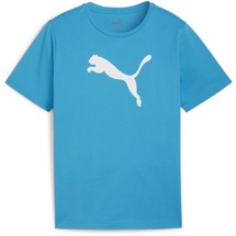 Puma Teamrise Logo Jersey Cotton Jr T-Shirts, Speed Blue-puma Weiß, 164