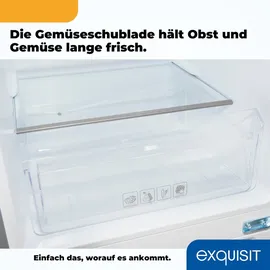 Exquisit KGC233-60-HE-040D Kühl-Gefrierkombination (173 l, 1422 mm hoch, Edelstahl)